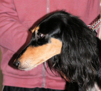 Kati